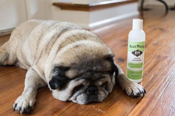 Stain Remover Stain Remover