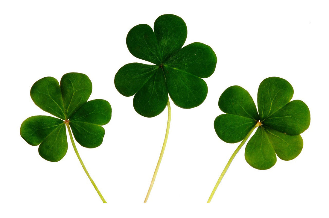 Smart strategies for St. Patrick’s Day stains